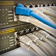 CATV/Broadband Network Servicves